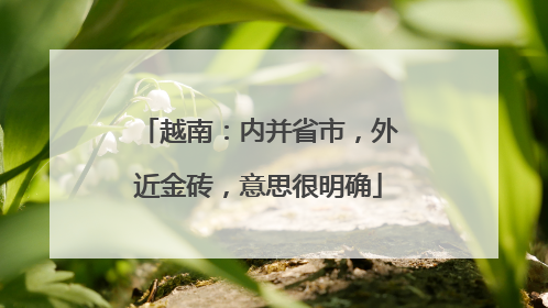 越南：内并省市，外近金砖，意思很明确